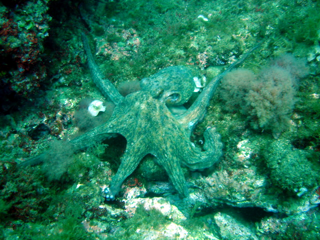 2013-06-13 11-59-41 Steven.JPG